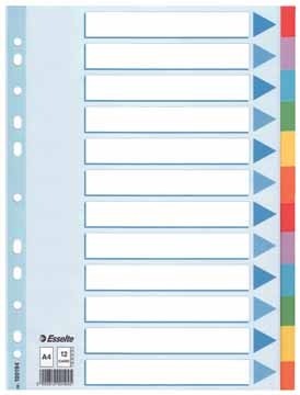 Esselte tabbladen 12 tabs