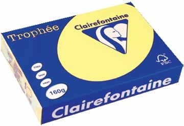 Clairefontaine Gekleurd papier Trophée Pastel A4 citroengeel