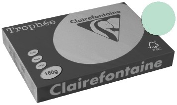 Clairefontaine Gekleurd papier Trophée Intens A3 grasgroen