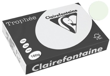 Clairefontaine Gekleurd papier Trophée Pastel A4 parelgrijs