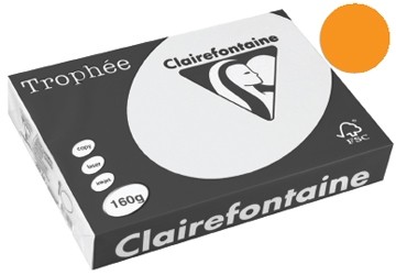 Clairefontaine Gekleurd papier Trophée Pastel A3 oranje