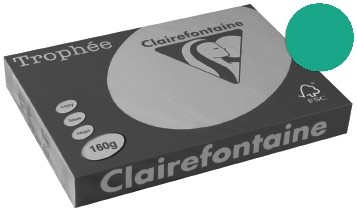 Clairefontaine Gekleurd papier Trophée Intens A3 dennengroen