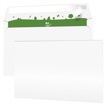 Dienstenveloppen ft 114 x 229 mm (C6/5), met strip DOOS500