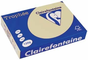 Clairefontaine gekleurd papier Trophée Pastel A4 gems