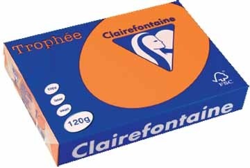 Clairefontaine gekleurd papier Trophée Pastel A4 oranje