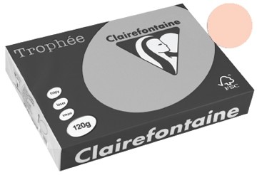 Clairefontaine gekleurd papier Trophée Pastel A4 zalm