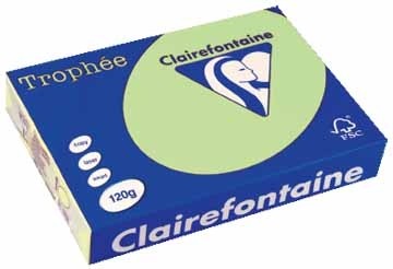 Clairefontaine gekleurd papier Trophée Pastel A4 groen