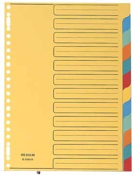 Esselte tabbladen 12 tabs, karton van 220 g/m ²