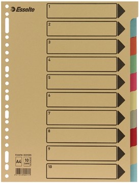 Esselte tabbladen 10 tabs, karton van 275 g/m ²
