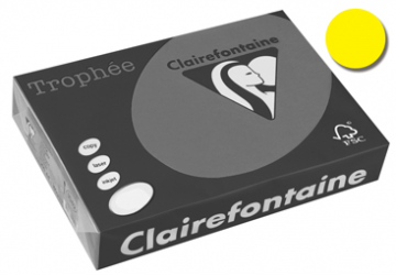 Clairefontaine Gekleurd papier Trophée Pastel A3 geel