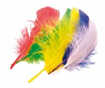 Bouhon pluimen 15 cm, 50 stuks