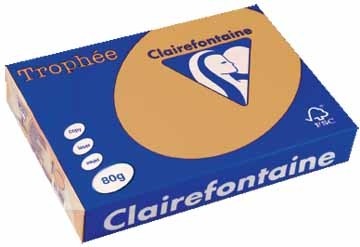 Clairefontaine gekleurd papier Trophée Pastel A4 mokka, 80g , 500vel