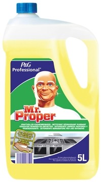 Mr Proper keukenontvetter