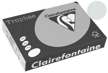 Clairefontaine gekleurd papier Trophée Pastel A3 lichtgrijs