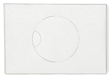 Tork hygiënezakjes plastiek wit doos van 25 stuks