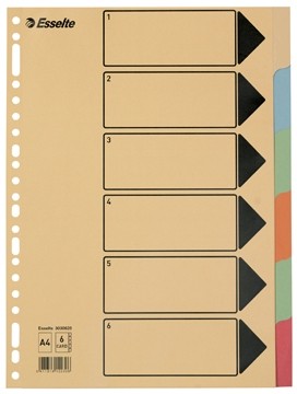 Esselte tabbladen 6 tabs, karton van 275 g/m ²  5sets