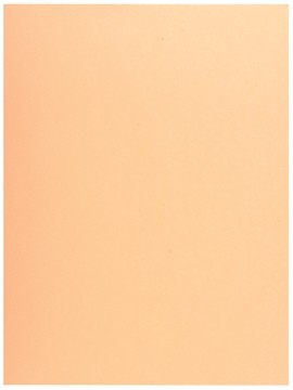 Exacompta Dossiermap Jura 250 ivoor Pak van 50