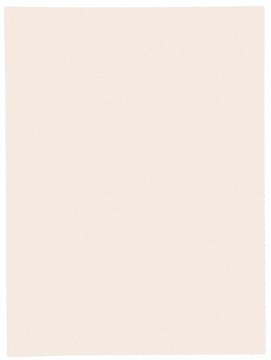 Exacompta dossiermap Jura 160 pak van 100 stuks ivoor