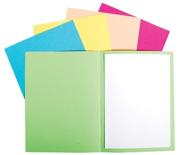 Exacompta Dossiermap Forever ® Foldyne geassorteerde kleuren
