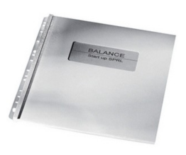 Filestrips A4 GBC voor 10 pins surebind (100st. klemruggen)