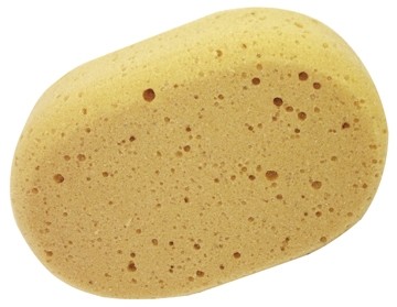 Aqualine ovale spons