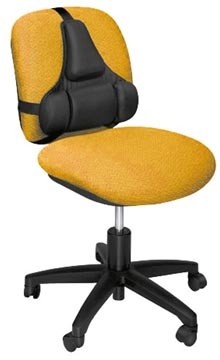 Fellowes Professional Series Ultimate ruggensteun, zwart