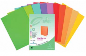 Exacompta Inlegmap Bahia PAK30