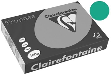 Clairefontaine Gekleurd papier Trophée Intens A4 dennegroen