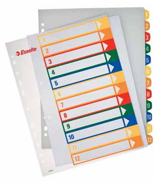 Esselte PC printbare Project Indexen 12 tabs