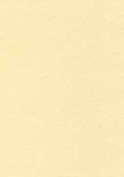 Decadry structuurpapier champagne, 165 g/m ², doos van 50 blad