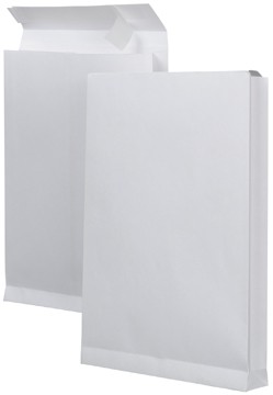 Propac Monsterzakenveloppen ft 229 x 324 x 38 mm