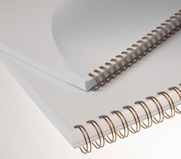 Renz draadruggen Wirebind 25.4mm , 23 ringen, 2:1 PAK50