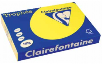 TROPHEE ZONNEGEEL A3 160G 250V