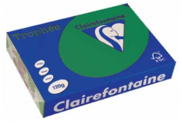 TROPHEE DENNENGROEN A4 120G 250V