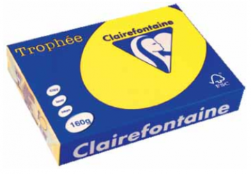 TROPHEE ZONNEGEEL A4 160G 250V